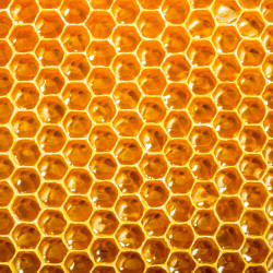 Miel d'acacia en ligne